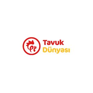 TAVUK DÜNYASI